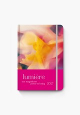 ΗΜΕΡΗΣΙΟ ΗΜΕΡΟΛΟΓΙΟ LUMIERE  WRITE YOUR FUTURE 2027 A5