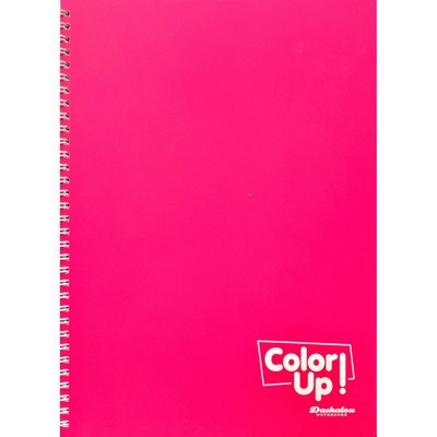 ΤΕΤΡΑΔΙΟ ΣΠΙΡΑΛ Α4 COLOR UP 2 ΘΕΜΑΤΩΝ 60Φ