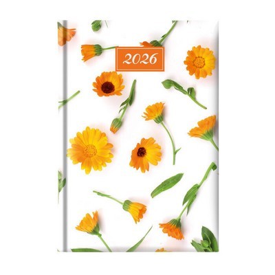 ΗΜΕΡΟΛΟΓΙΟ ΗΜΕΡΗΣΙΟ 2026 THEOFYLAKTOS 14,5X20,5 MARIGOLD
